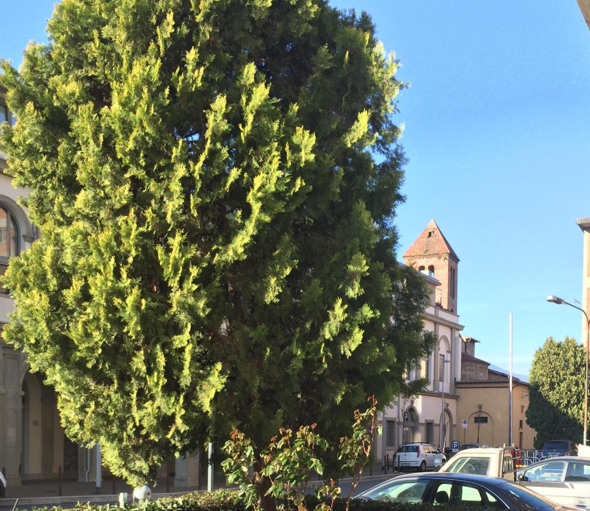 San Donato Flat Florencia